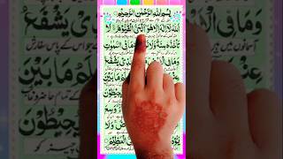 আয়াতুল কুরসী পড়ার চেষ্টা করুন।। Ayatul kursi. Quran tilawat. #nurerlight #viralvideo #ayatulkursi