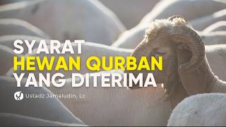 Kriteria Hewan yang Cacat dan Syarat Hewan Qurban yang Diterima- Ustadz Jamaludin, Lc.