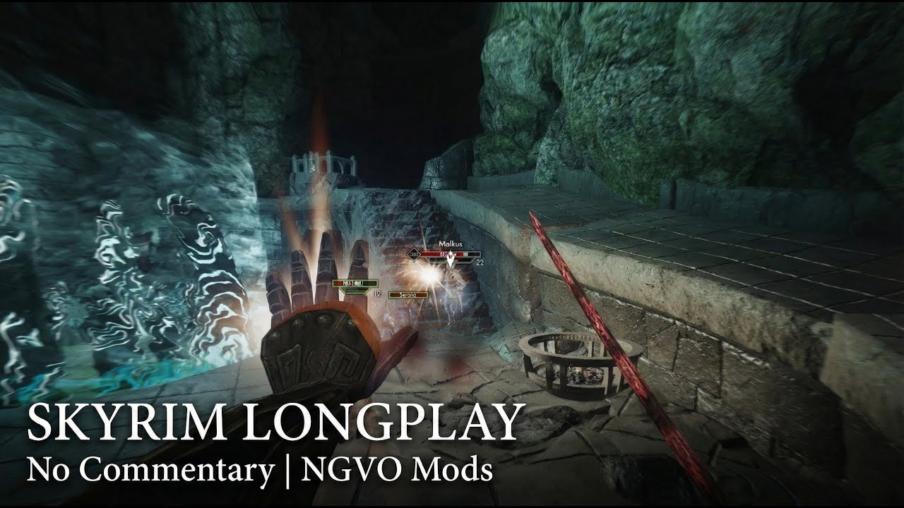 Skyrim NGVO Gameplay - Dawnguard Part 1 (No Commentary)