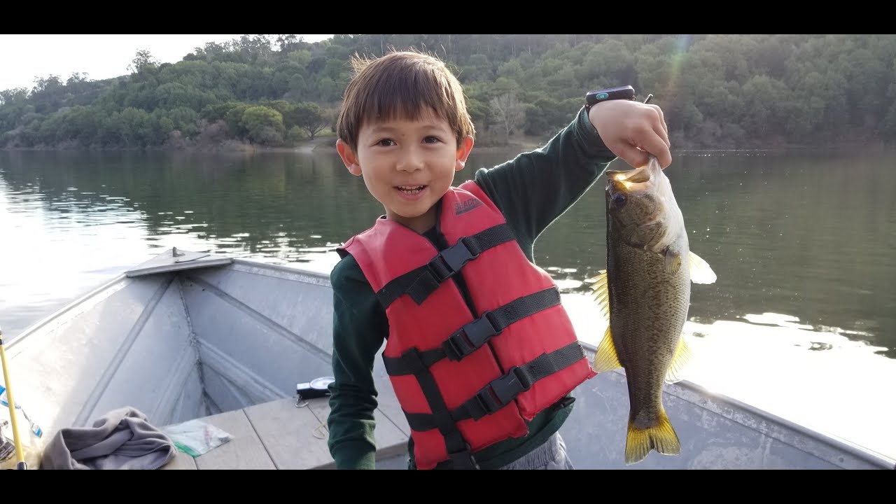Largemouth Bass Catch, Clean, Cook (including Roe/Eggs) YouTube
