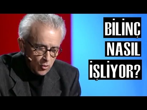 Bilinci Anlamaya Çalışmak