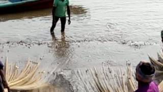 Odisha Turtle Sea Beach by imsam0003 148 views 7 years ago 1 minute, 18 seconds