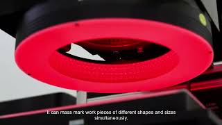 Laser Marking Machine with CCD Visual Positioning System