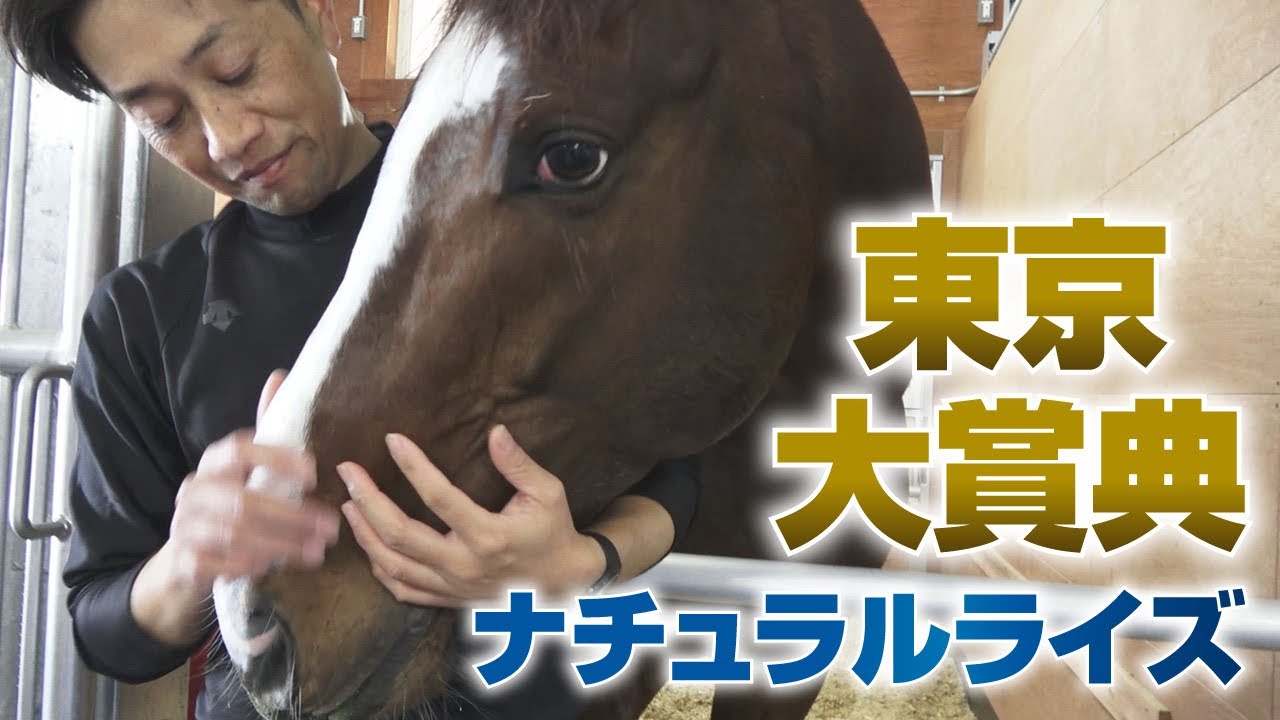 【フェブラリーS出走】ダート2冠・ナチュラルライズは食いしん坊　担当助手・桑原さんへインタビュー