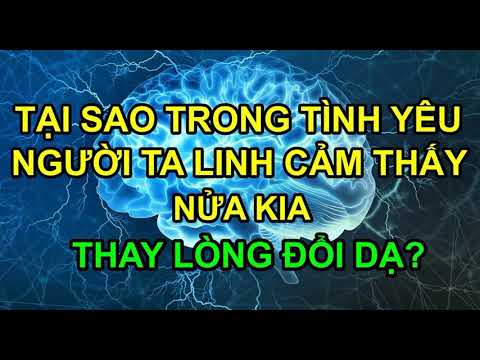 Video TẠI SAO TRONG TÌNH YÊU NGƯỜI TA LINH CẢM THẤY NỬA KIA... - youtube