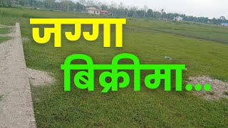 उचित मुल्यको जग्गा बिक्रीमा ।। शुलभ रेटमा उपलब्ध।। Bhadrapur ko jagga।।Jhapa Ko Jagga।।Jagga Nepal.