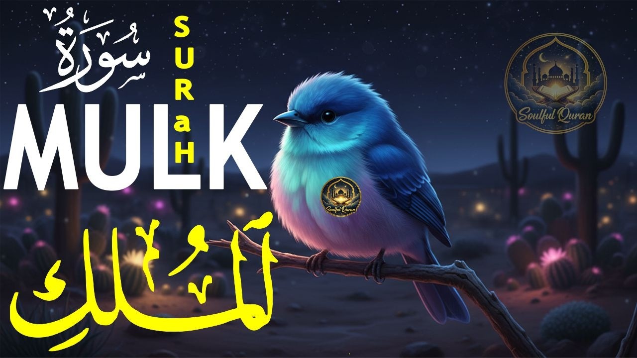 World's most beautiful recitation of Surah MULK (The Kingdom) سورة الملك | EP 03