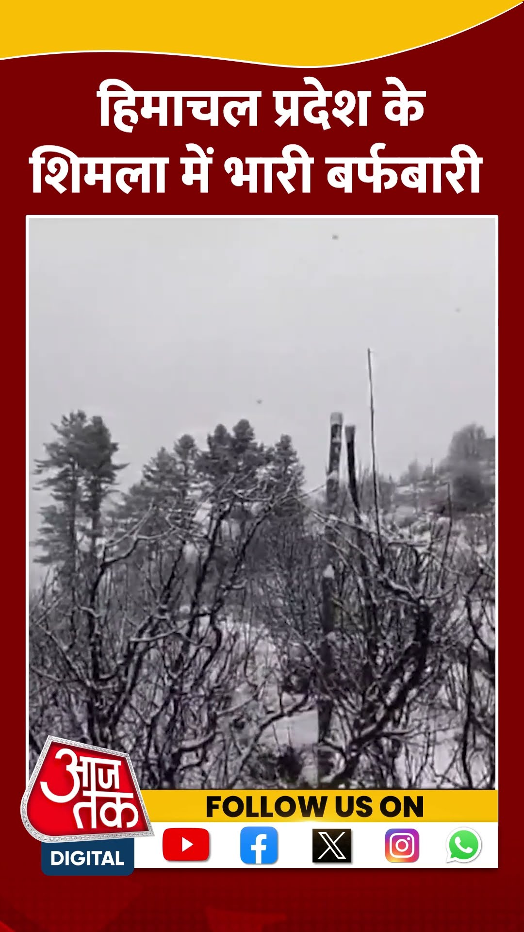 Himachal Pradesh के Shimla में भारी बर्फबारी #shorts #viral #shortvideo #shimla #snowfall