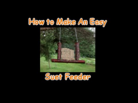 How To Make An Easy Suet Feeder Youtube