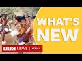 BBC Africa: A special edition from Eswatini - BBC What's New