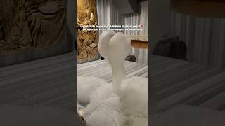 Kesinlikle Tekrar Gideceğim Öneririm I Şfet