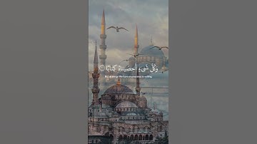﴿ إِنَّهُمْ كَانُوا لَا يَرْجُونَ حِسَابًا﴾[ النبأ: 27]   سورة النبأ   #قرآن #القرآن_الكريم #youtube