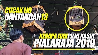 PIALA RAJA 2019 : JURI PILIH KASIH Ke  CUCAK IJO Getar Sayap Volume Tembus Keluar Pagar