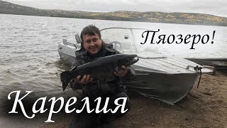 Охота на Щуку!  Пяозеро,  Лодка, Спиннинг, Рыба, Карелия