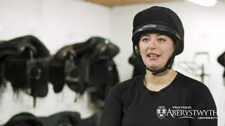 Equine Studies at Aberystwyth University
