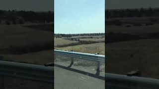 IMG 4584