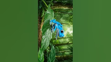 Con Ếch Phi Tiêu Độc#funny #cuoncuoncon #vuichoicungcon #cute