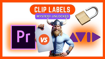 Unlocking The Secrets Of Clip Colors: Premiere Vs. Avid - Master The Art Of Organization!
