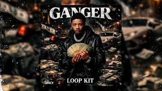 [+10] Veeze x LUCKI Loop Kit 2026 ''Ganger'' (Detroit, smooth, sample etc.)