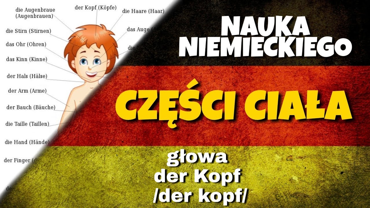 Sprawdzian Niemiecki 2 Lo Choroby Czesci Ciala