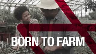 175 YEARS OF MASSEY FERGUSONS HISTORY