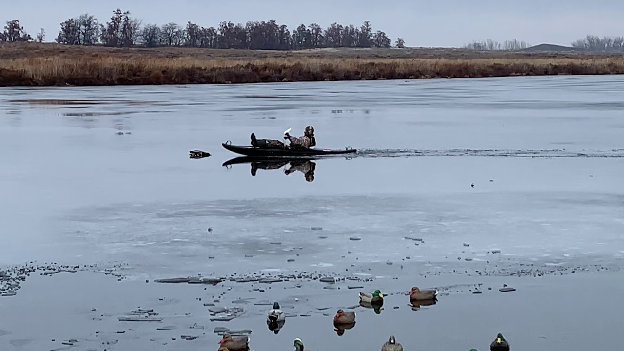 Retrieving a Duck on the Ice at McNary Wildlife Refuge YouTube