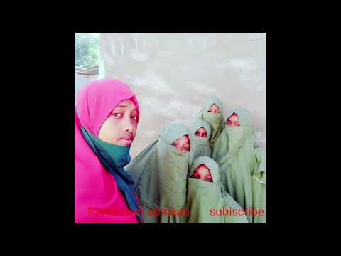 Nashiidaa Haaraya Shamarran Harawwee