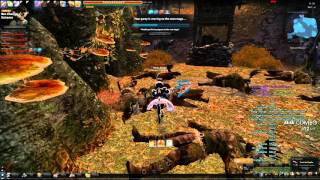 bug vindictus clones o_o