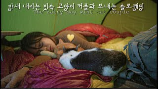 sharing a sleeping bag with a ‘local cat couple’ in rainy night / solo camping in the rain