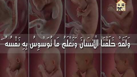 تألق وإبداع من الشيخ سيد سعيد وتلاوته لسورة ق