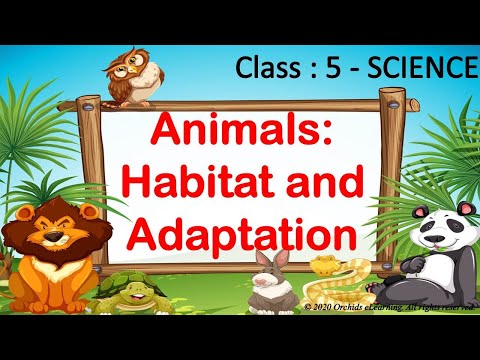 جانور: رہائش اور موافقت || کلاس 5 - سائنس ||| CBSE / NCERT || جانوروں میں موافقت