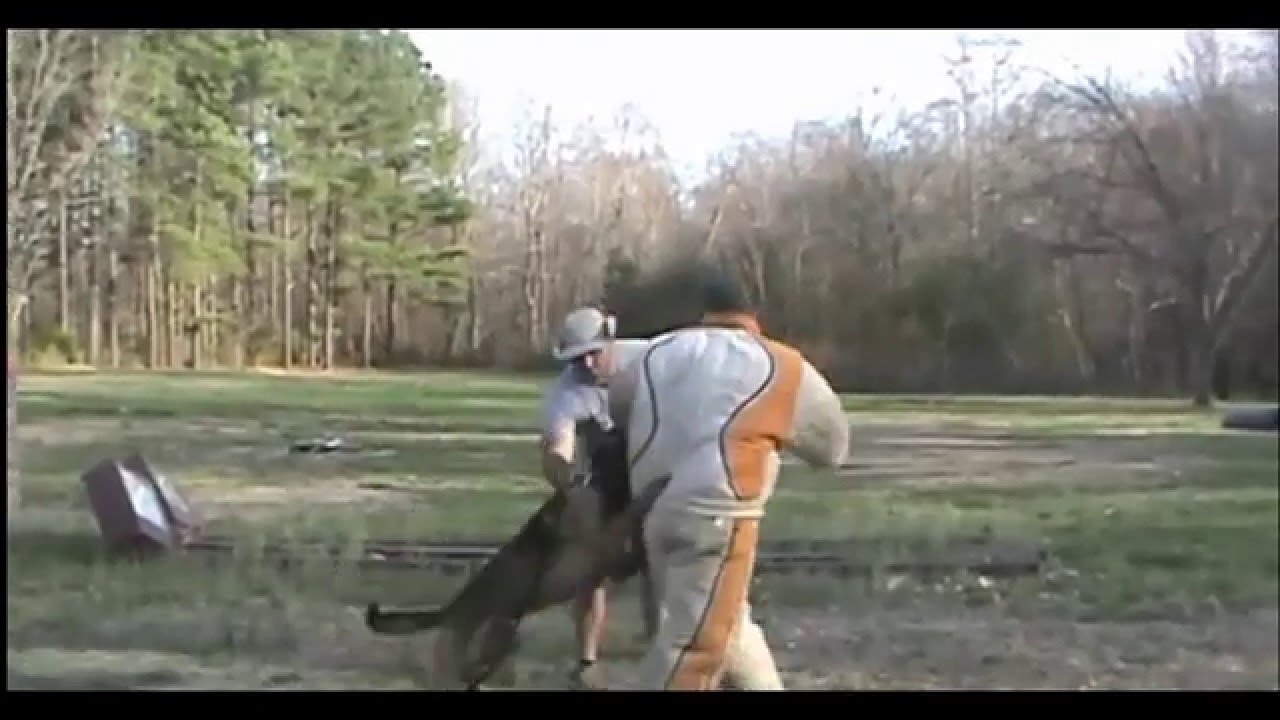 Customized K9 Clover SC Dog Training YouTube