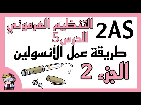 التنظيم الهرموني الدرس5 طريقة عمل الأنسولين الجزء 2 خرائط ذهنية مخططات طرق ممتعة