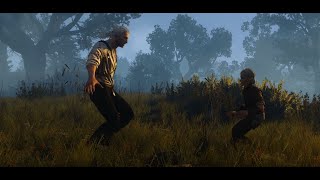 Witcher 3: The Wolf and The Swallow Remastered