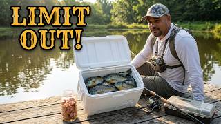 BEST Summertime BAITS For PANFISH | How To | FISHING With HOT DOGS #thenextcast