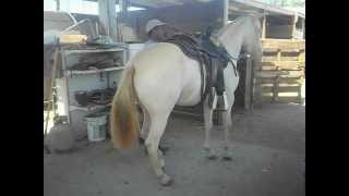 Loba Learding To Dance