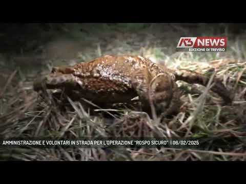 AMMINISTRAZIONE E VOLONTARI IN STRADA PER L'OPERAZIONE “ROSPO SICURO”  | 06/02/2025