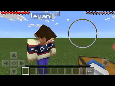 Minecqravti ლაგი