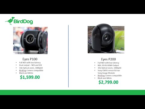 Differences between the BirdDog P100 & P200 PTZ Cameras - YouTube