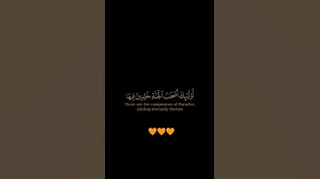 سورة فصلت / القارئ سعد الغامدي / تلاوة خاشعة تريح سمعك