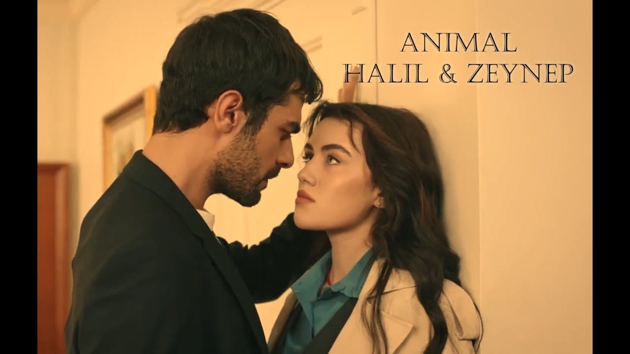 Rüzgarlı Tepe || Animal #windsoflove #rüzgarlıtepe #zeyhal