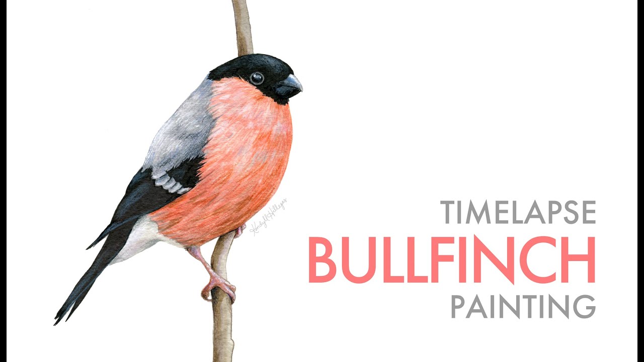 Painting a Bird with Mixed Media YouTube