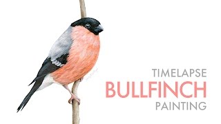 Painting a Bird with Mixed Media screenshot 5