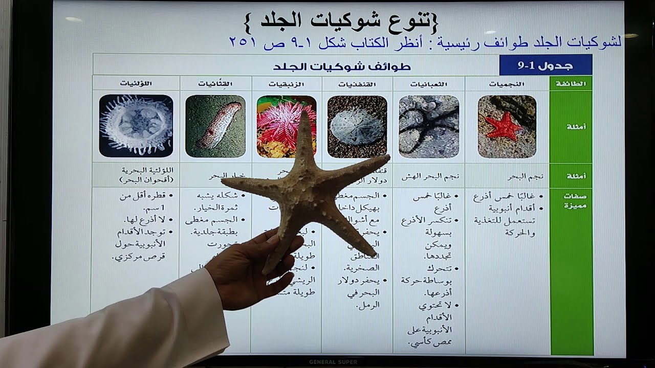 خصائص شوكيات الجلد الجزء الثاني (  تنوع شوكيات الجلد و بيئتها )