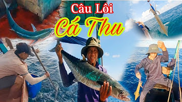 CÂU LÔI 4_Bủa Câu Tìm Cá,Tìm Mực Lúc 4h Sáng_Kết Thúc 1 Ngày Đến Tận Đêm Khuyav.