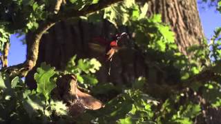 The Green Planet Official Trailer