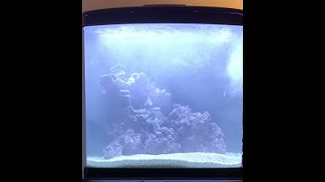 IceCap 1K Gyre in a BioCube 32 - Positioned Vertically, Aimed Toward Front