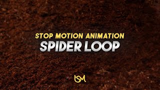 Spider Loop Asmr Stop Motion Animation