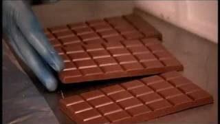 Chocolate: The Bitter Truth | CBC