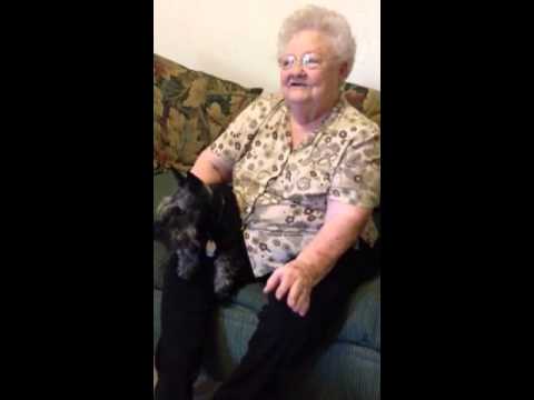 Barbara and Bowser Update